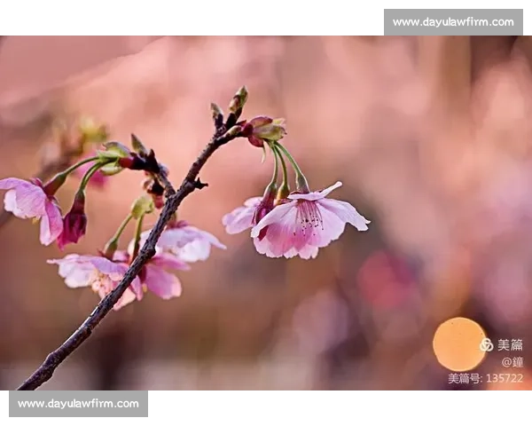 花开之日，赴你之约